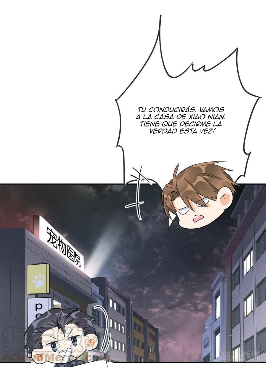 13 Tengo que trabajar duro para ser un gato hoy!