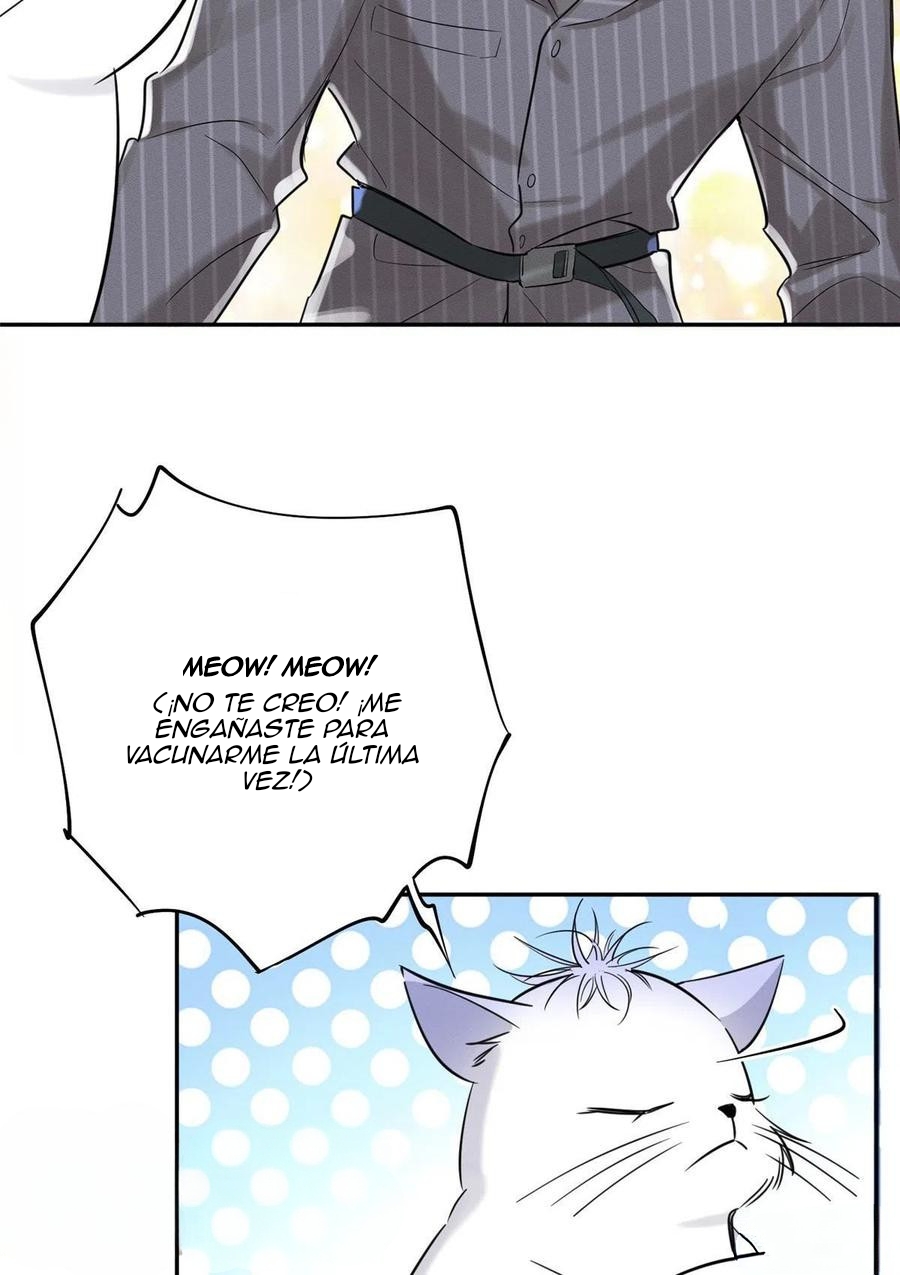 1 Tengo que trabajar duro para ser un gato hoy!