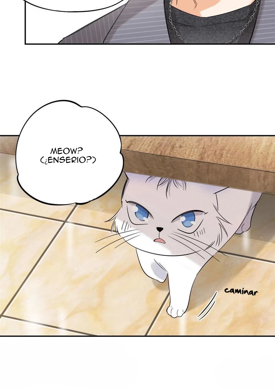 5 Tengo que trabajar duro para ser un gato hoy!