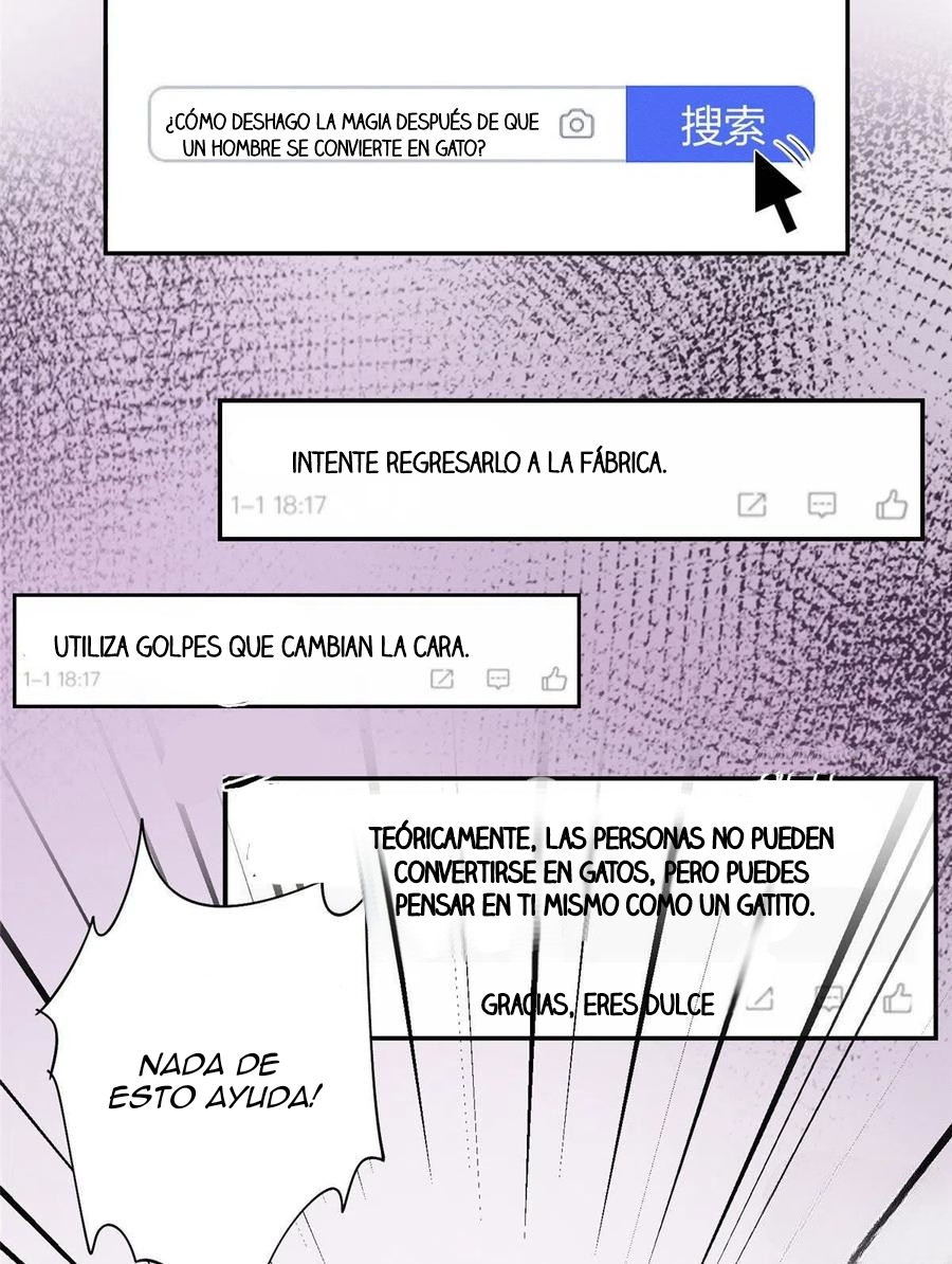 16 Tengo que trabajar duro para ser un gato hoy!