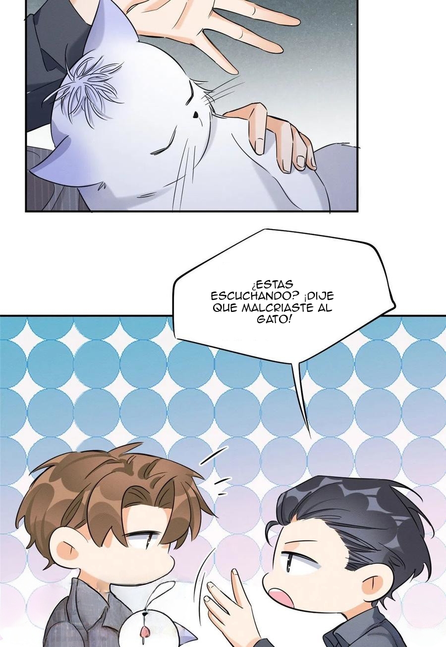 11 Tengo que trabajar duro para ser un gato hoy!