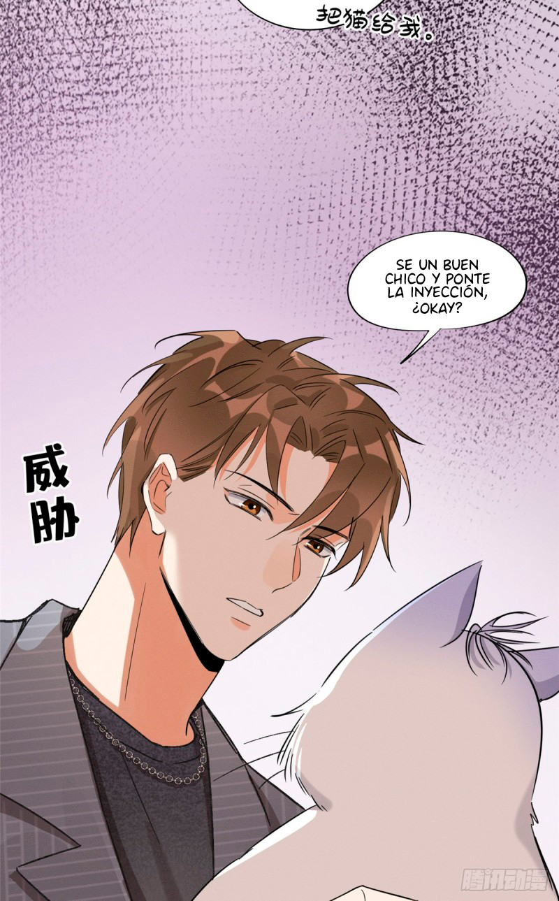 16 Tengo que trabajar duro para ser un gato hoy!