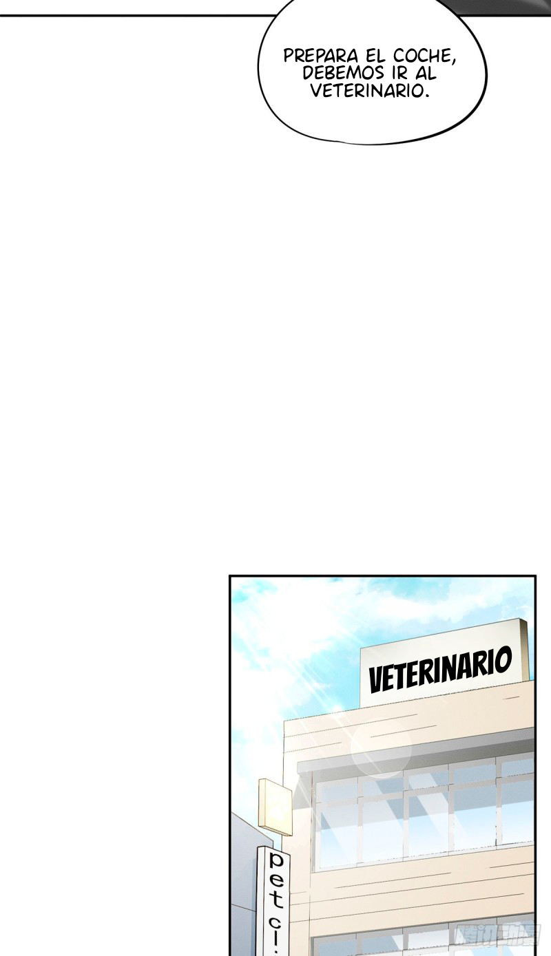 9 Tengo que trabajar duro para ser un gato hoy!