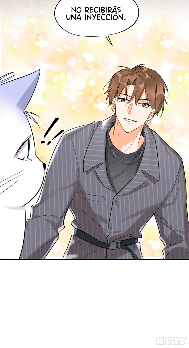 28 Tengo que trabajar duro para ser un gato hoy!