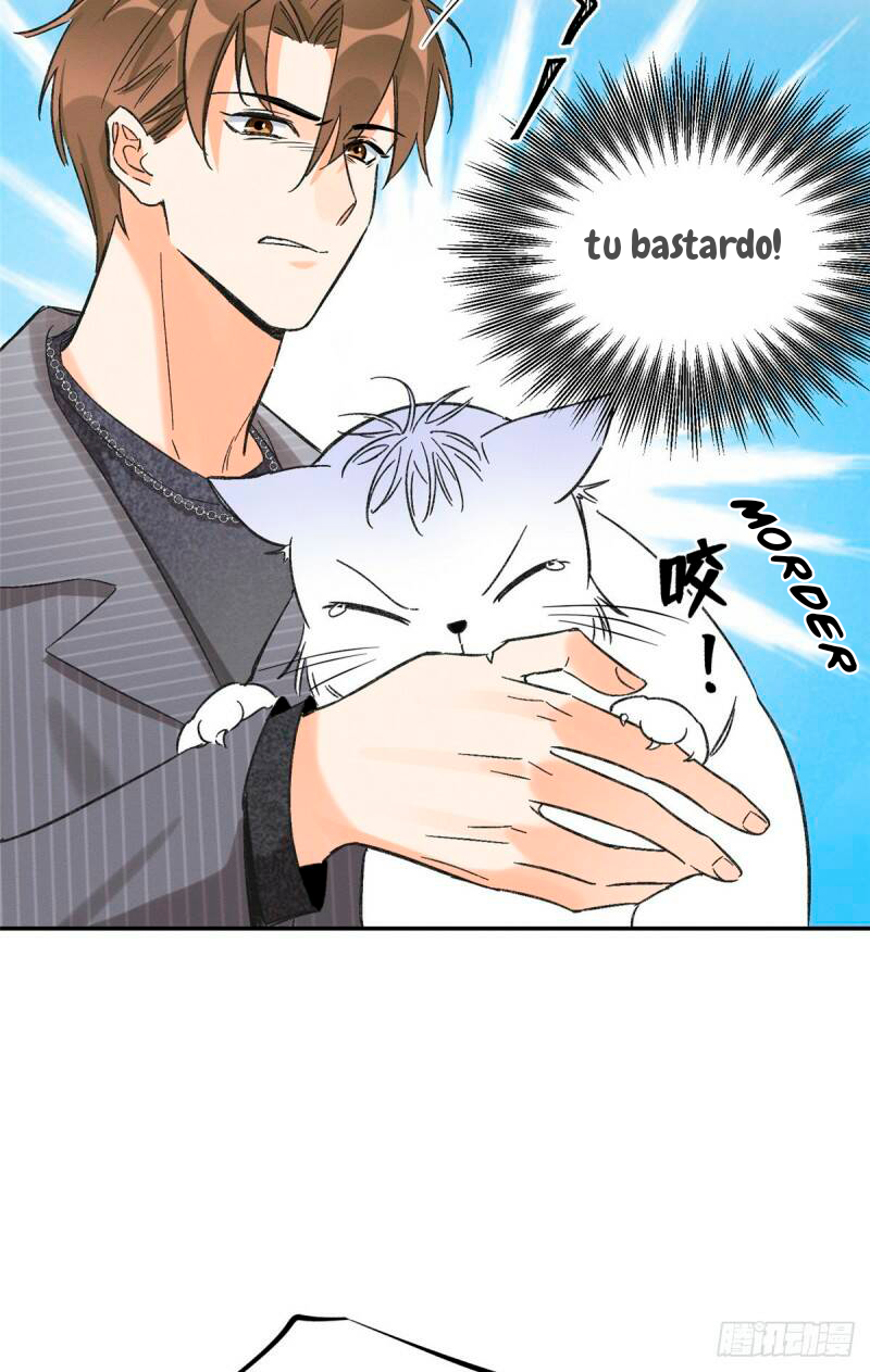 18 Tengo que trabajar duro para ser un gato hoy!