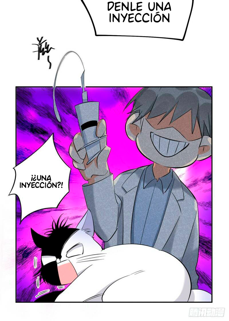 12 Tengo que trabajar duro para ser un gato hoy!