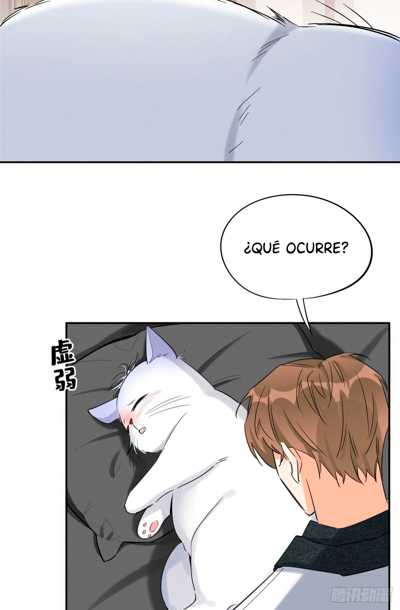 6 Tengo que trabajar duro para ser un gato hoy!