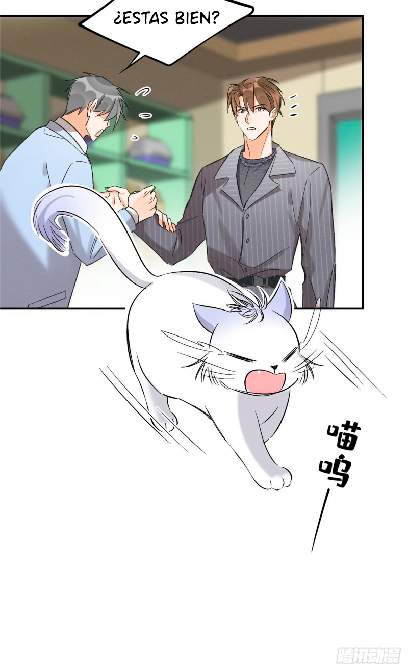 19 Tengo que trabajar duro para ser un gato hoy!