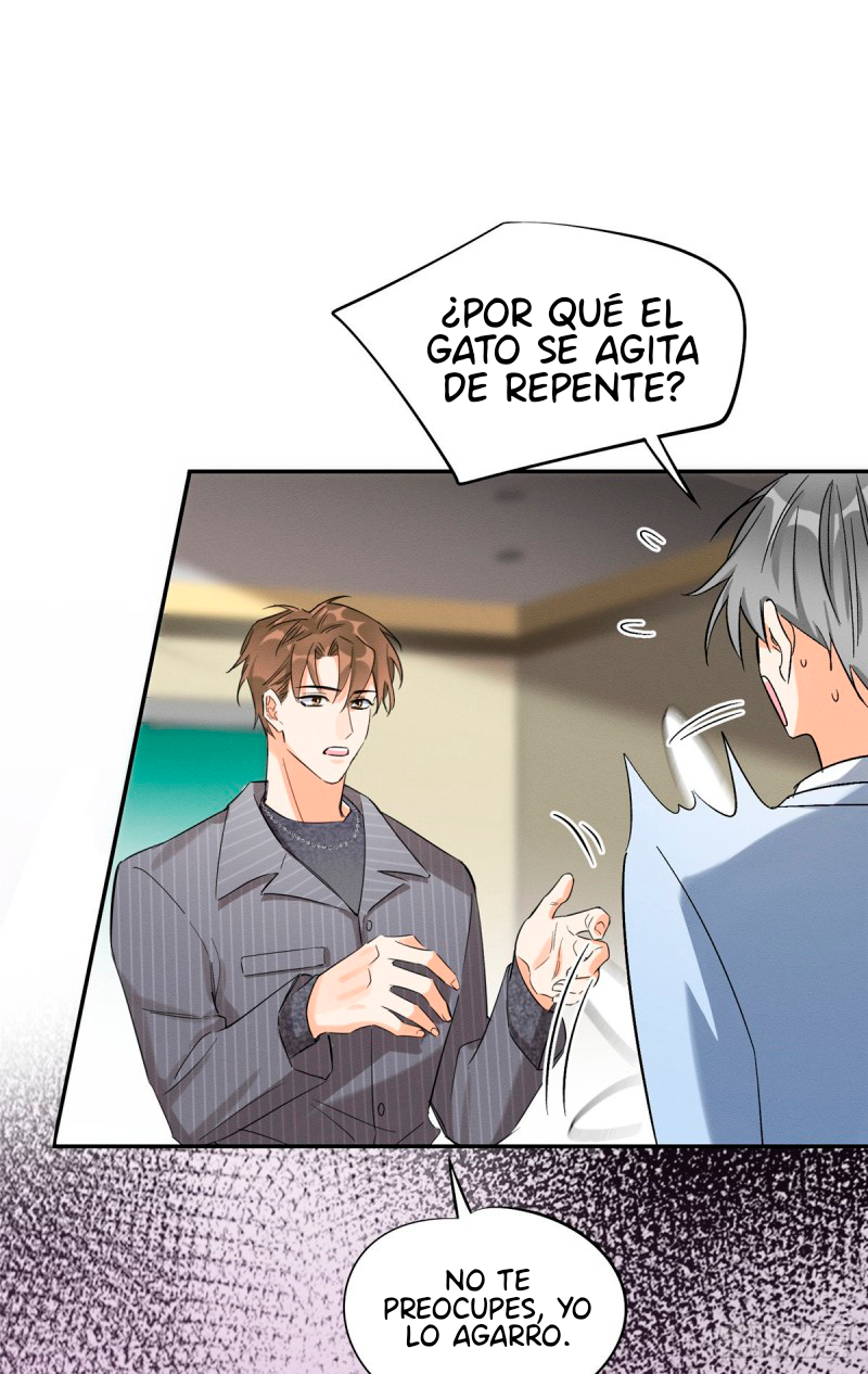 15 Tengo que trabajar duro para ser un gato hoy!