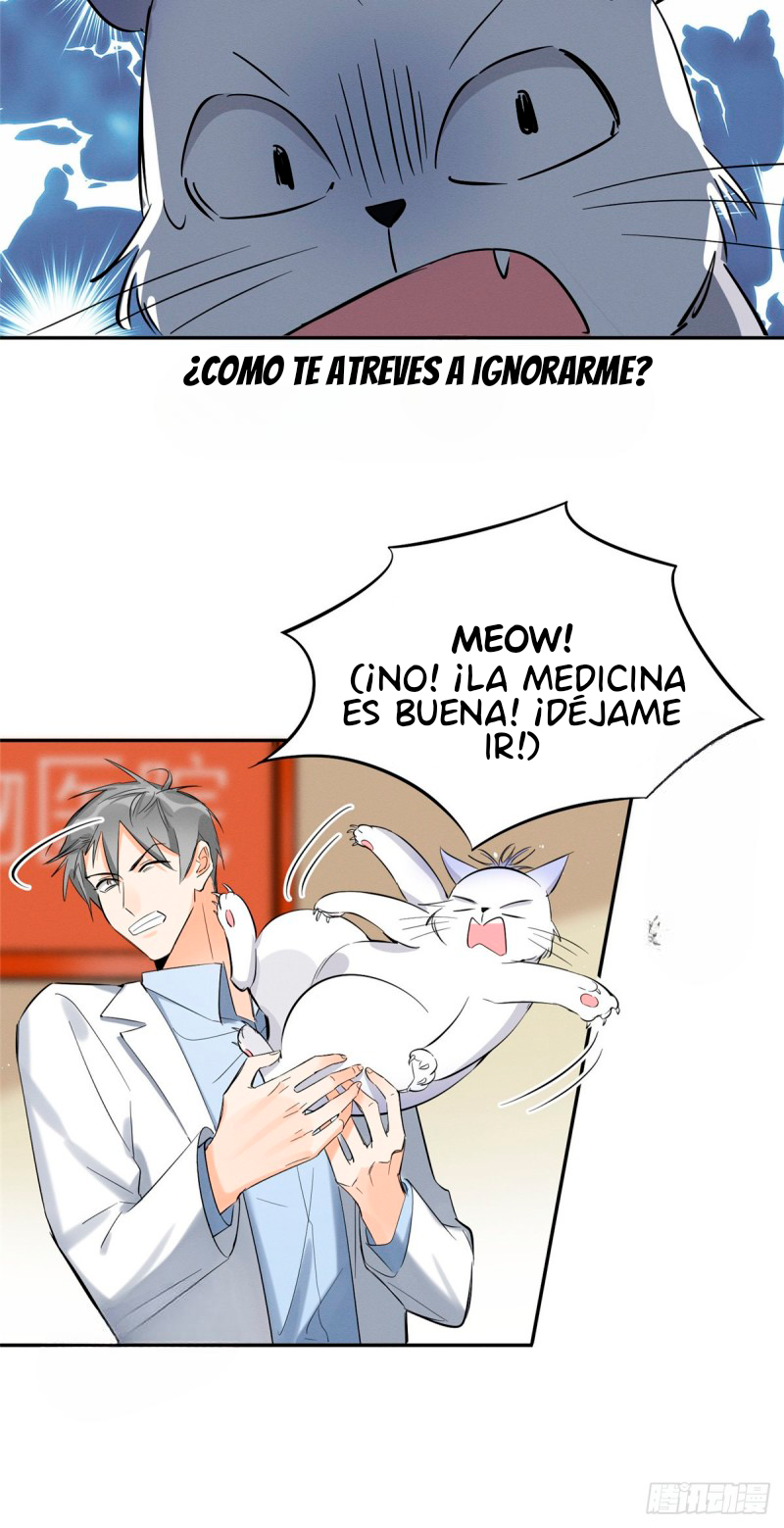 14 Tengo que trabajar duro para ser un gato hoy!