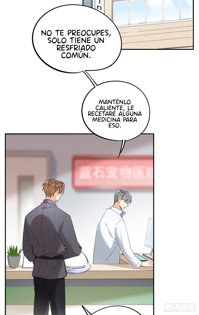 10 Tengo que trabajar duro para ser un gato hoy!