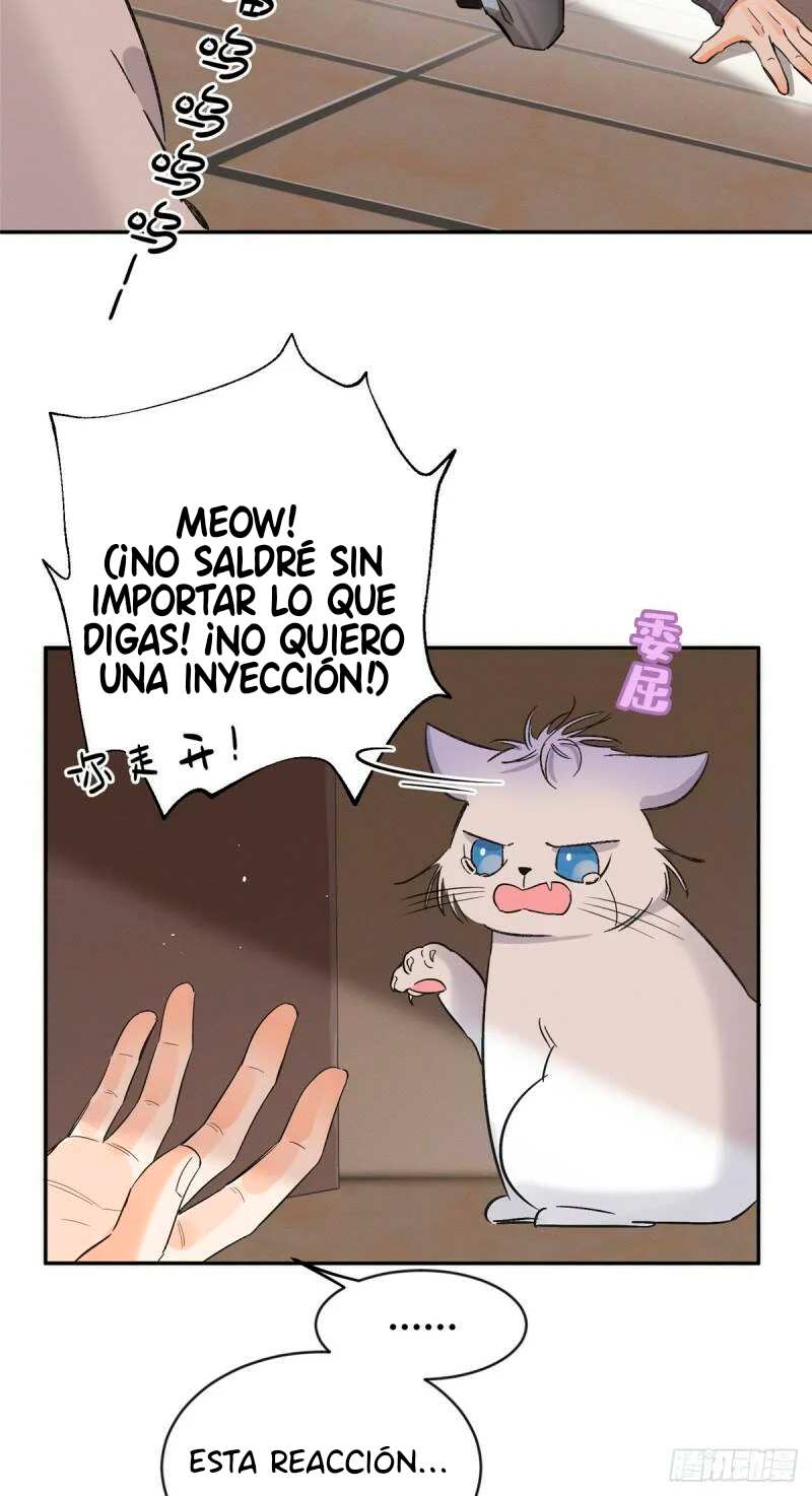 22 Tengo que trabajar duro para ser un gato hoy!