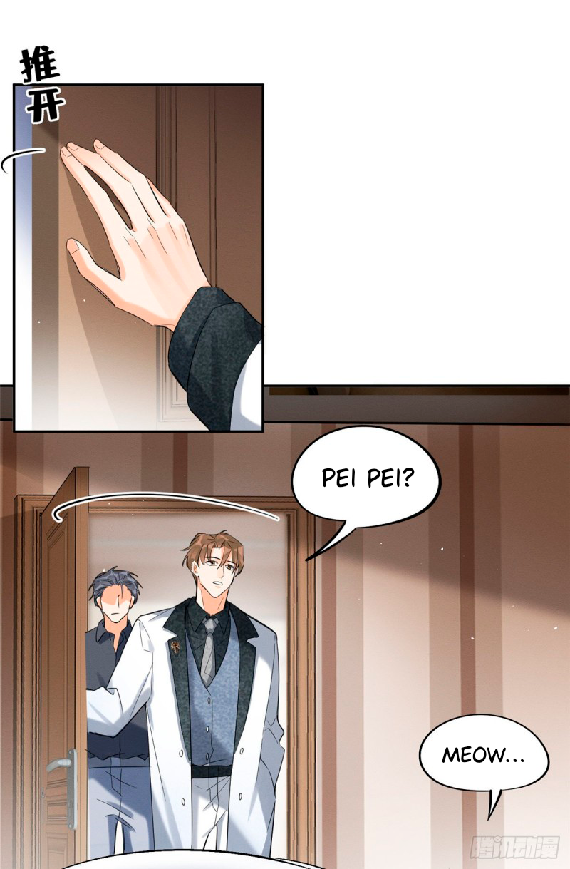 5 Tengo que trabajar duro para ser un gato hoy!