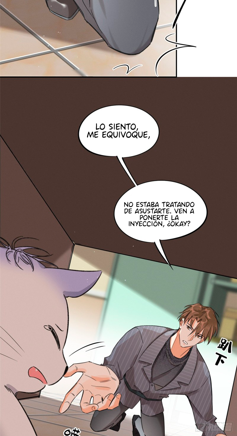 21 Tengo que trabajar duro para ser un gato hoy!