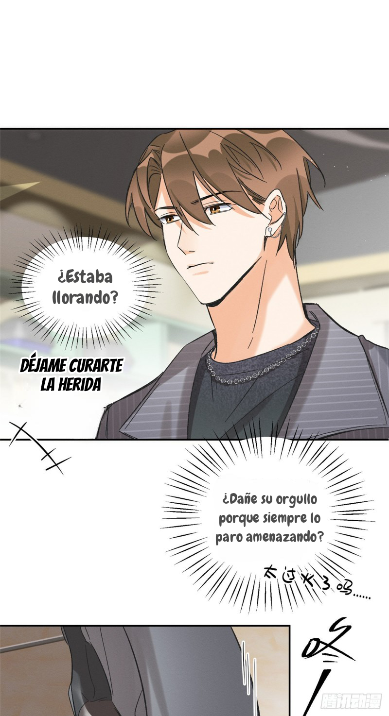 20 Tengo que trabajar duro para ser un gato hoy!