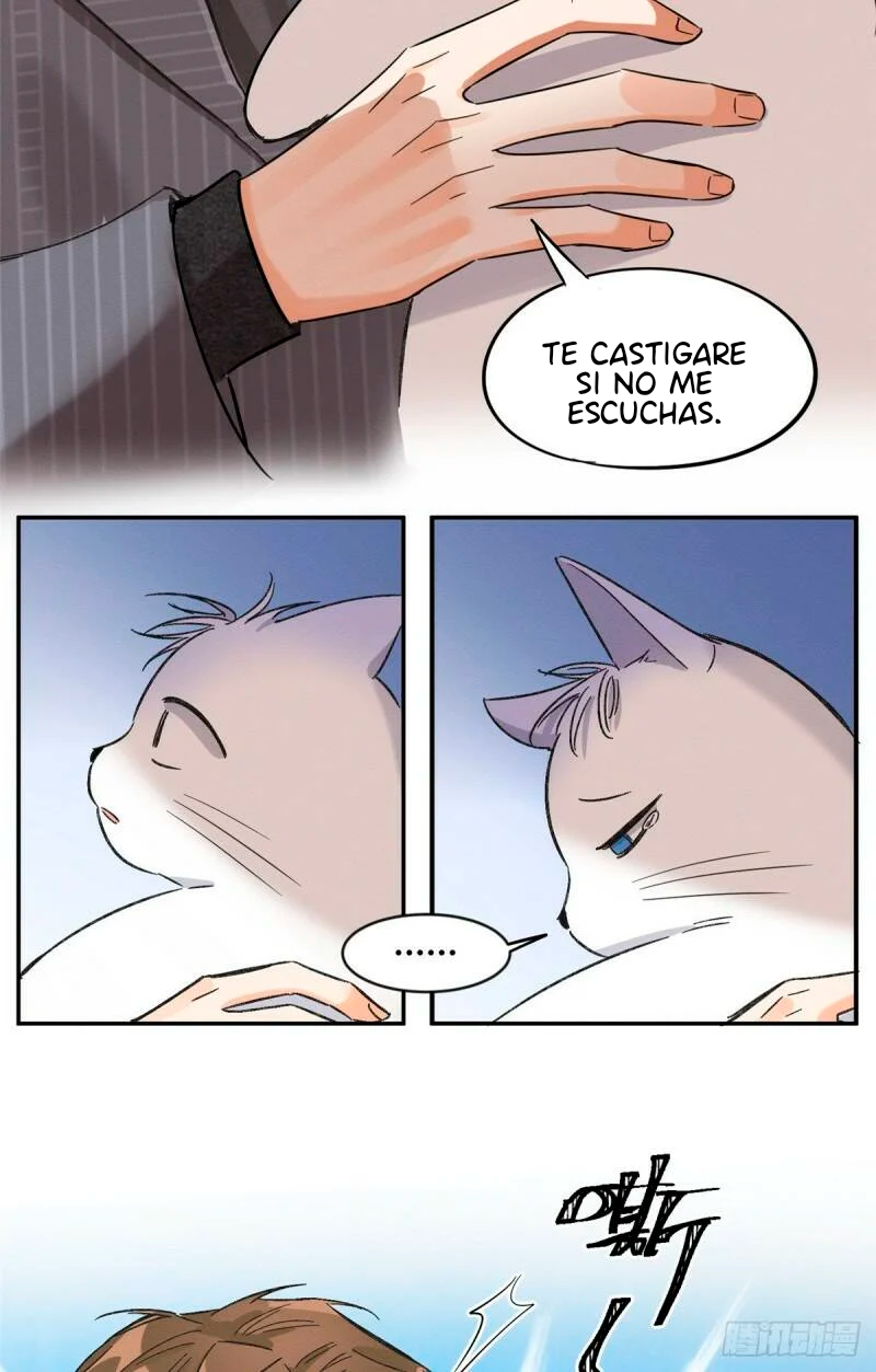 17 Tengo que trabajar duro para ser un gato hoy!