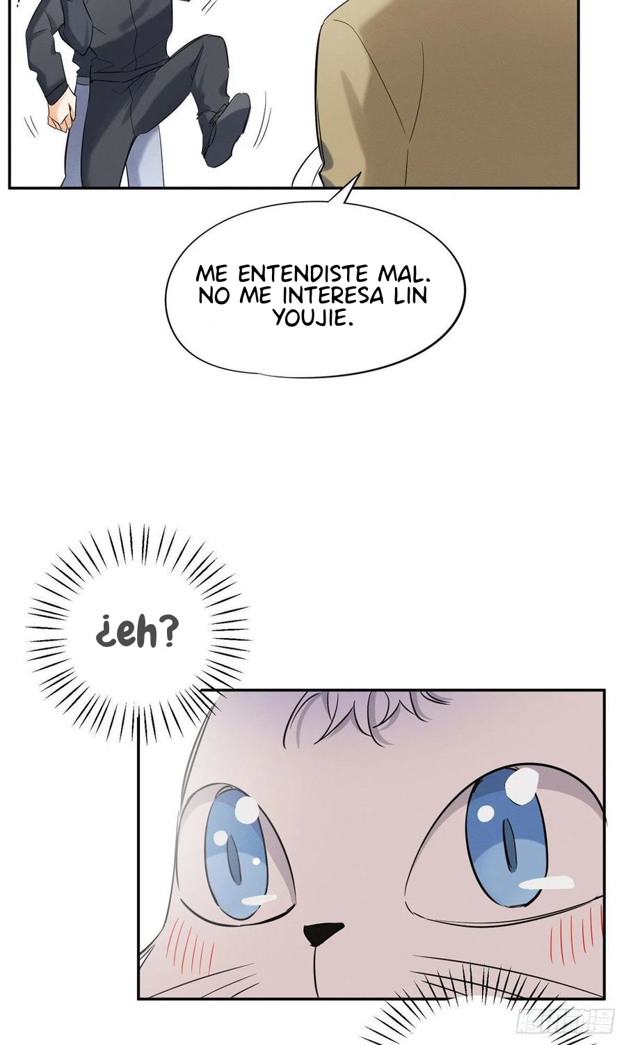 4 Tengo que trabajar duro para ser un gato hoy!