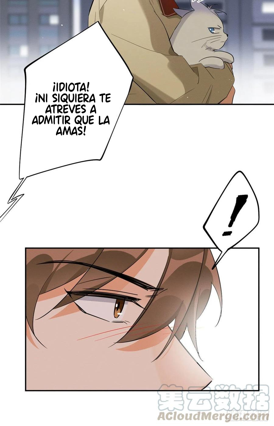 11 Tengo que trabajar duro para ser un gato hoy!