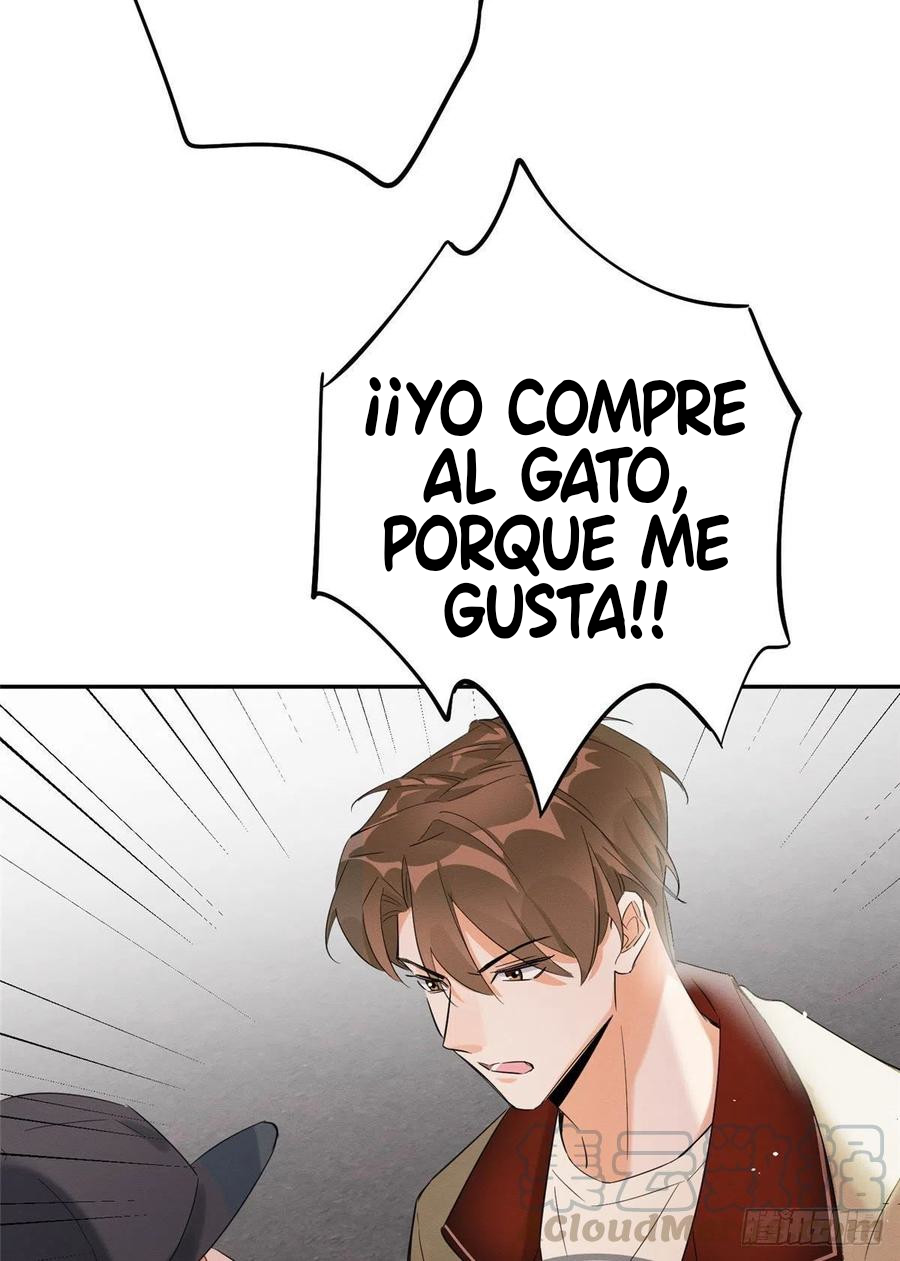 13 Tengo que trabajar duro para ser un gato hoy!