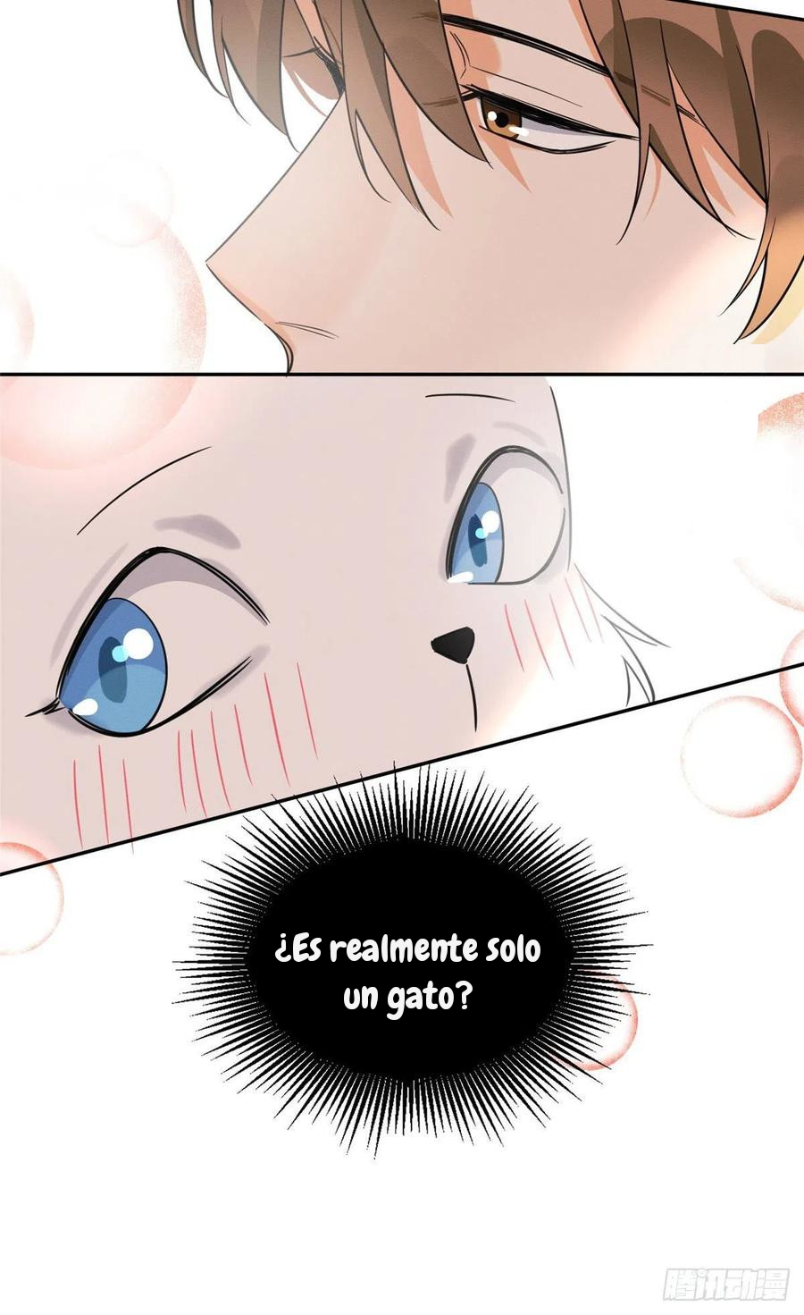 30 Tengo que trabajar duro para ser un gato hoy!