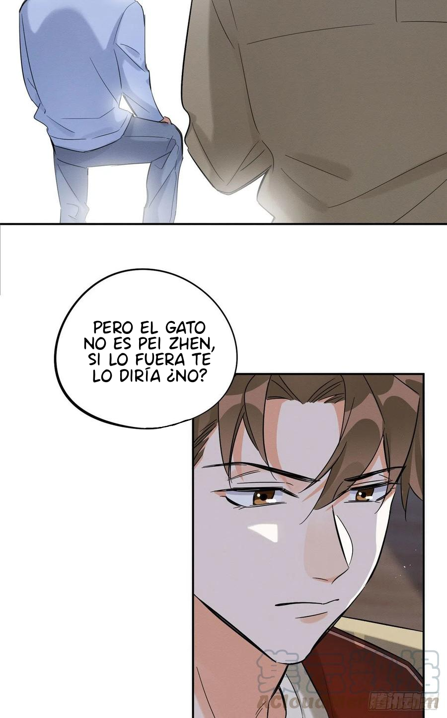 11 Tengo que trabajar duro para ser un gato hoy!