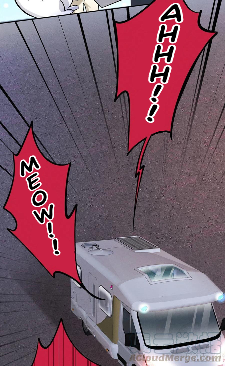 5 Tengo que trabajar duro para ser un gato hoy!