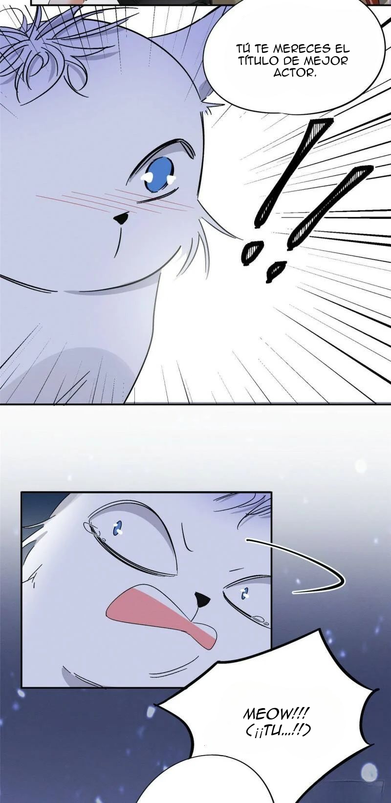 15 Tengo que trabajar duro para ser un gato hoy!