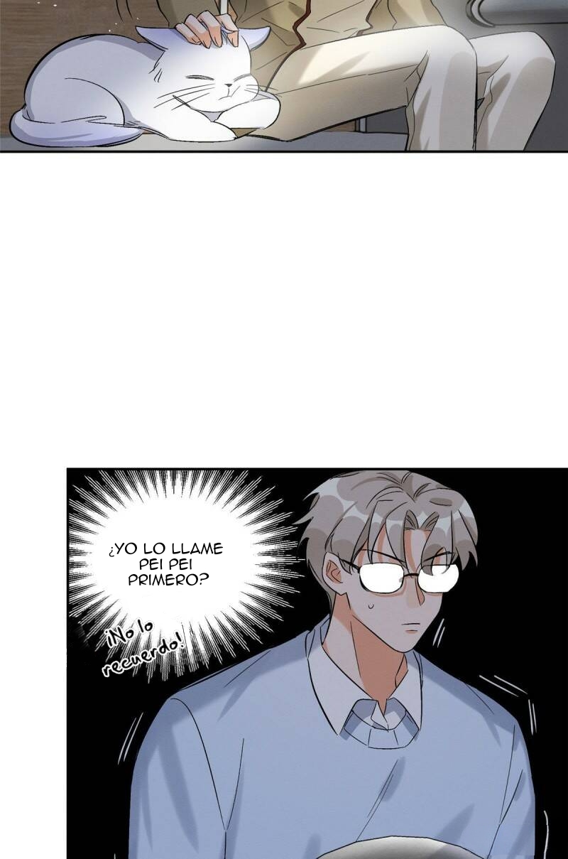 28 Tengo que trabajar duro para ser un gato hoy!