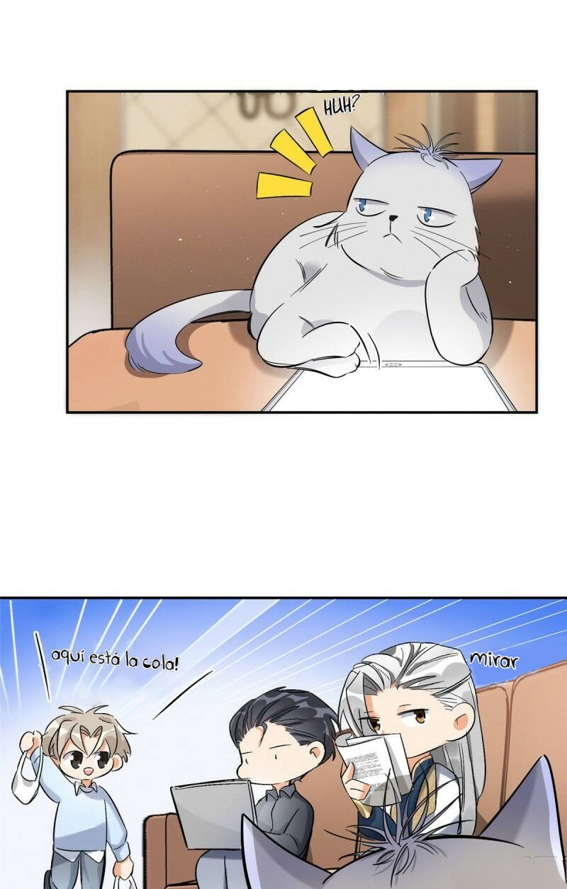 3 Tengo que trabajar duro para ser un gato hoy!