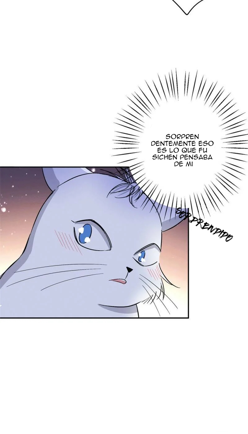 18 Tengo que trabajar duro para ser un gato hoy!