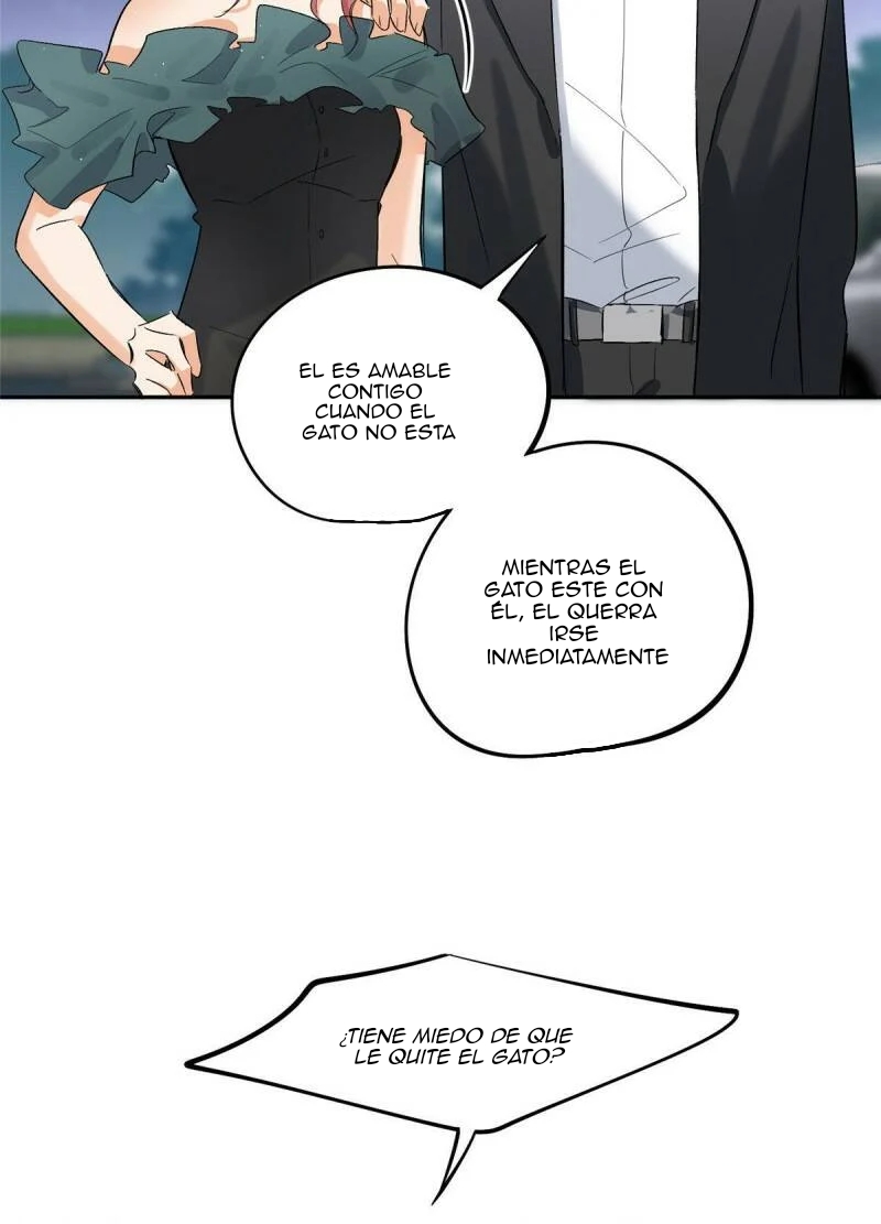 21 Tengo que trabajar duro para ser un gato hoy!