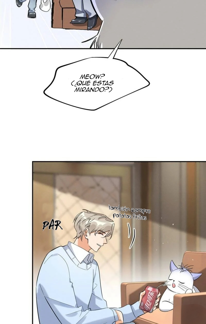 4 Tengo que trabajar duro para ser un gato hoy!