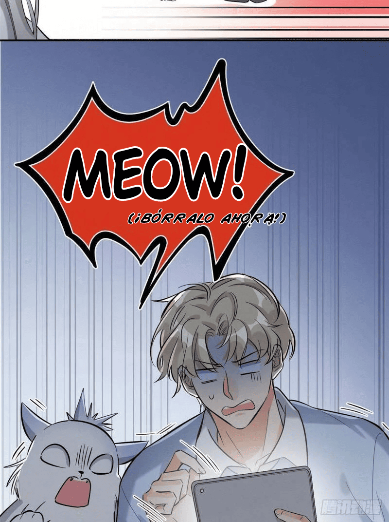 2 Tengo que trabajar duro para ser un gato hoy!