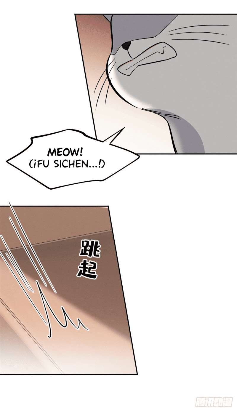 21 Tengo que trabajar duro para ser un gato hoy!