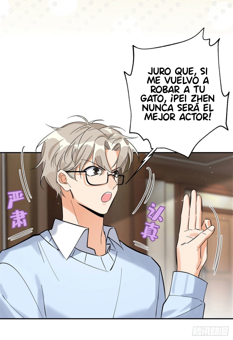 5 Tengo que trabajar duro para ser un gato hoy!