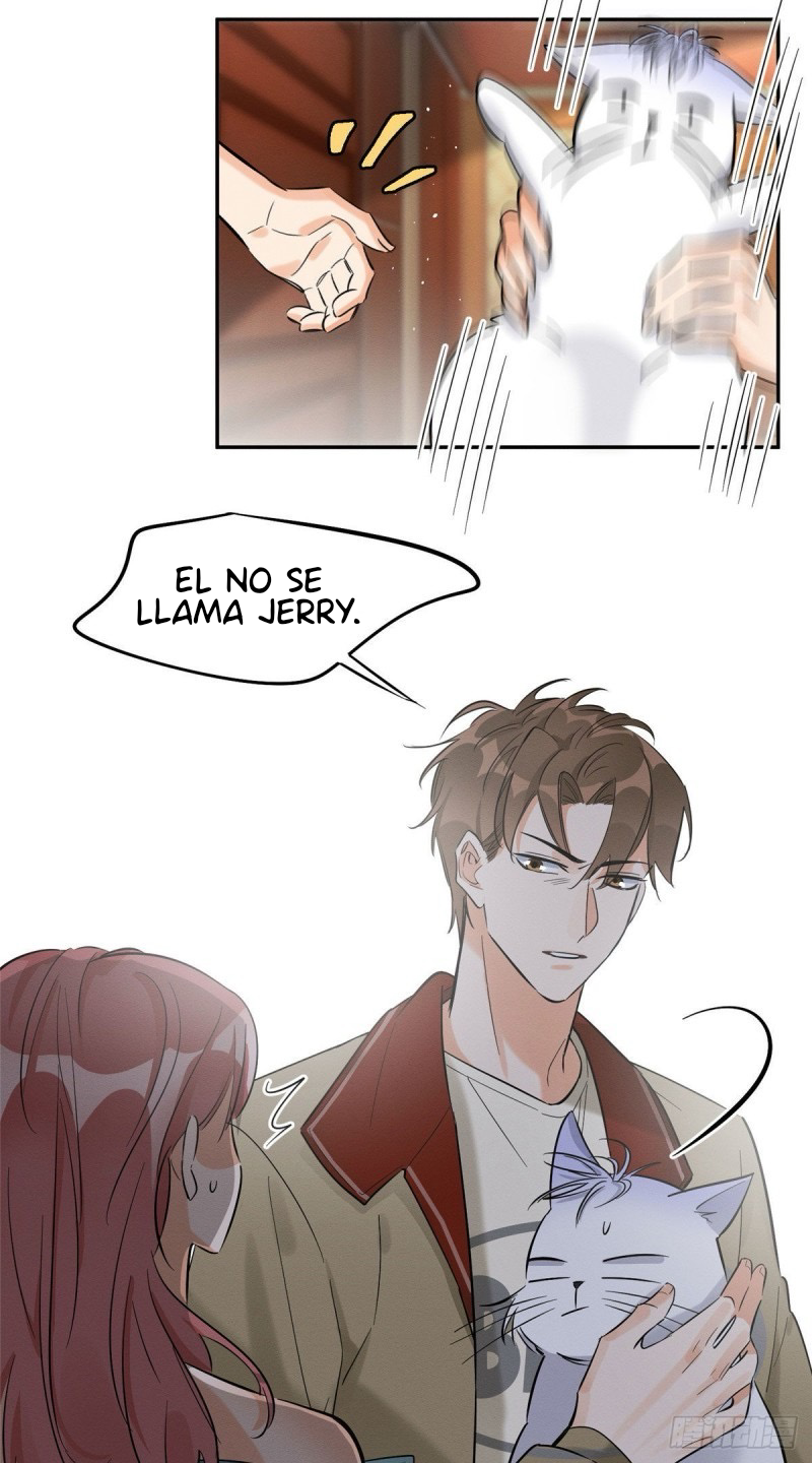 15 Tengo que trabajar duro para ser un gato hoy!