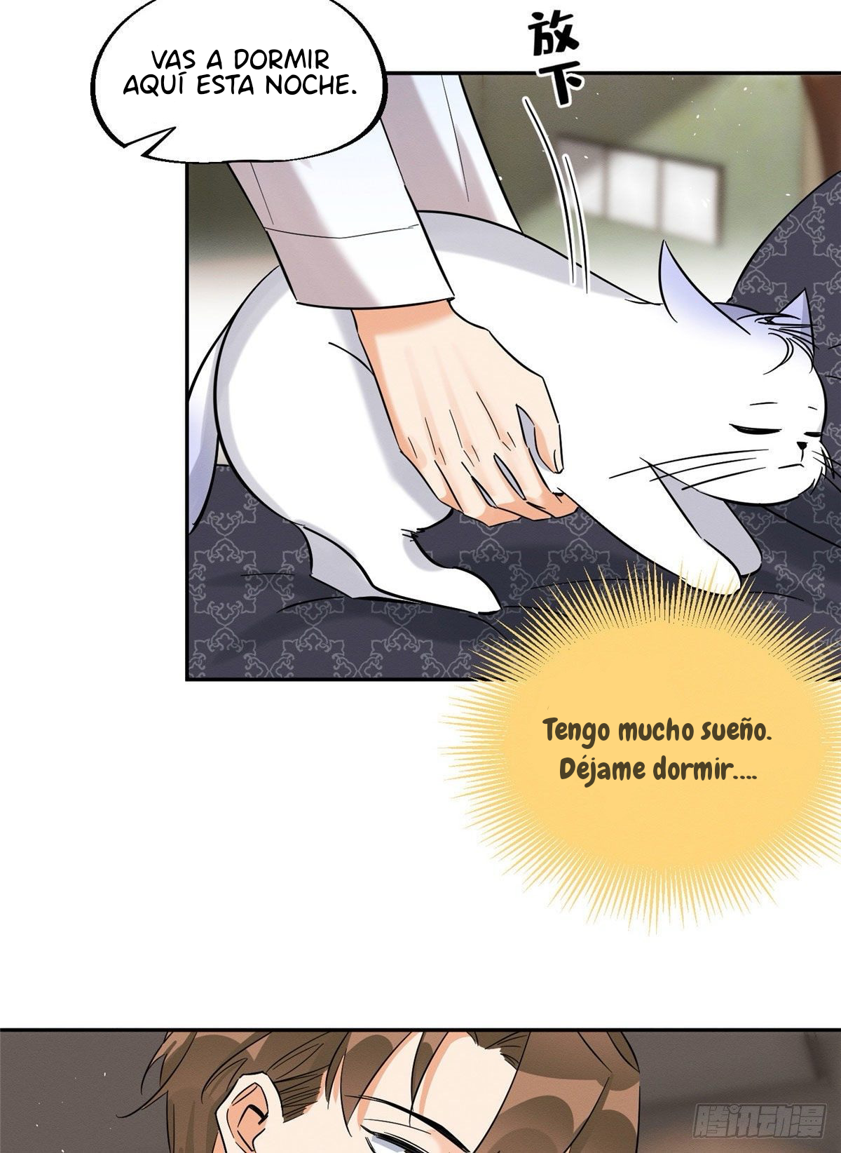 22 Tengo que trabajar duro para ser un gato hoy!