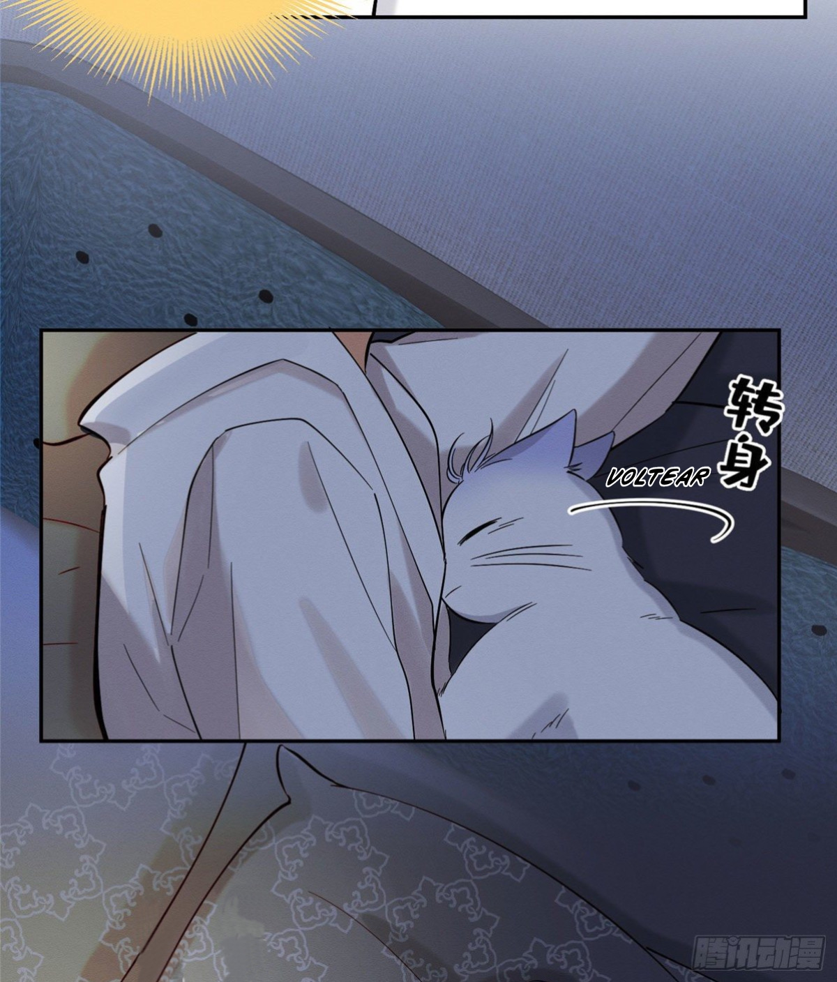 31 Tengo que trabajar duro para ser un gato hoy!