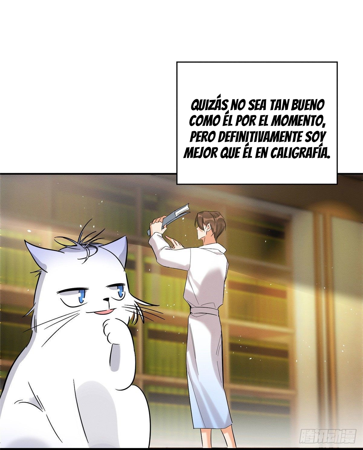 5 Tengo que trabajar duro para ser un gato hoy!