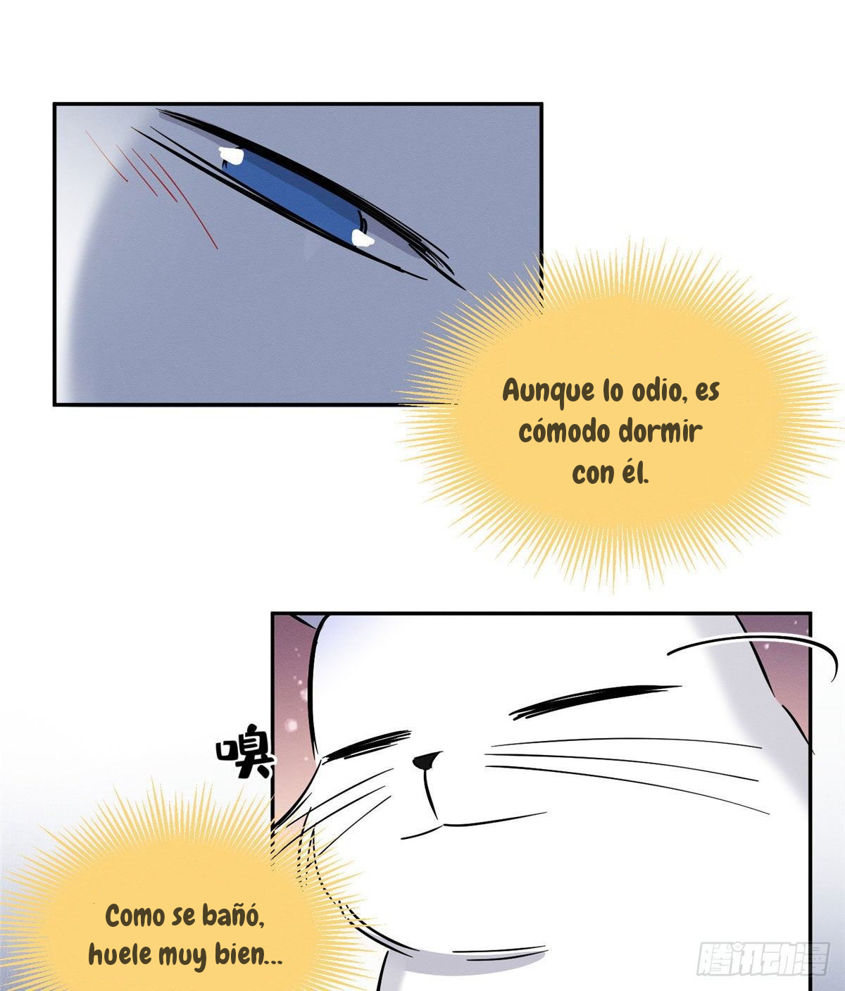 30 Tengo que trabajar duro para ser un gato hoy!