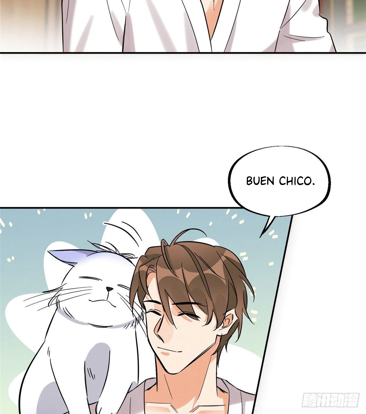 15 Tengo que trabajar duro para ser un gato hoy!