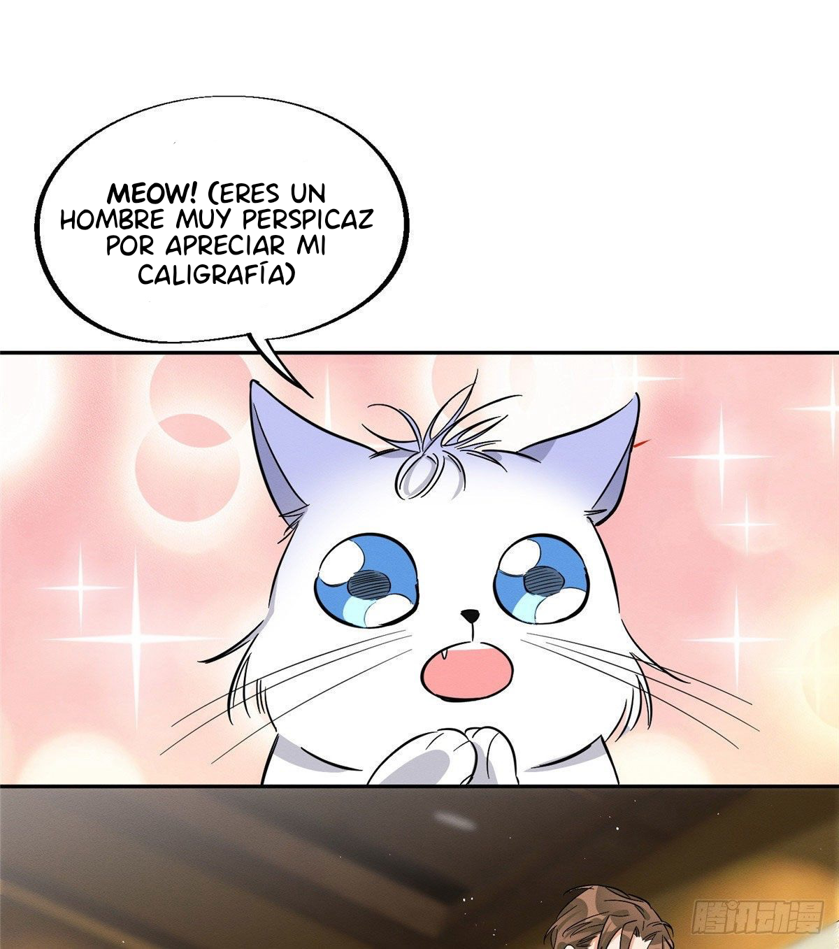 11 Tengo que trabajar duro para ser un gato hoy!