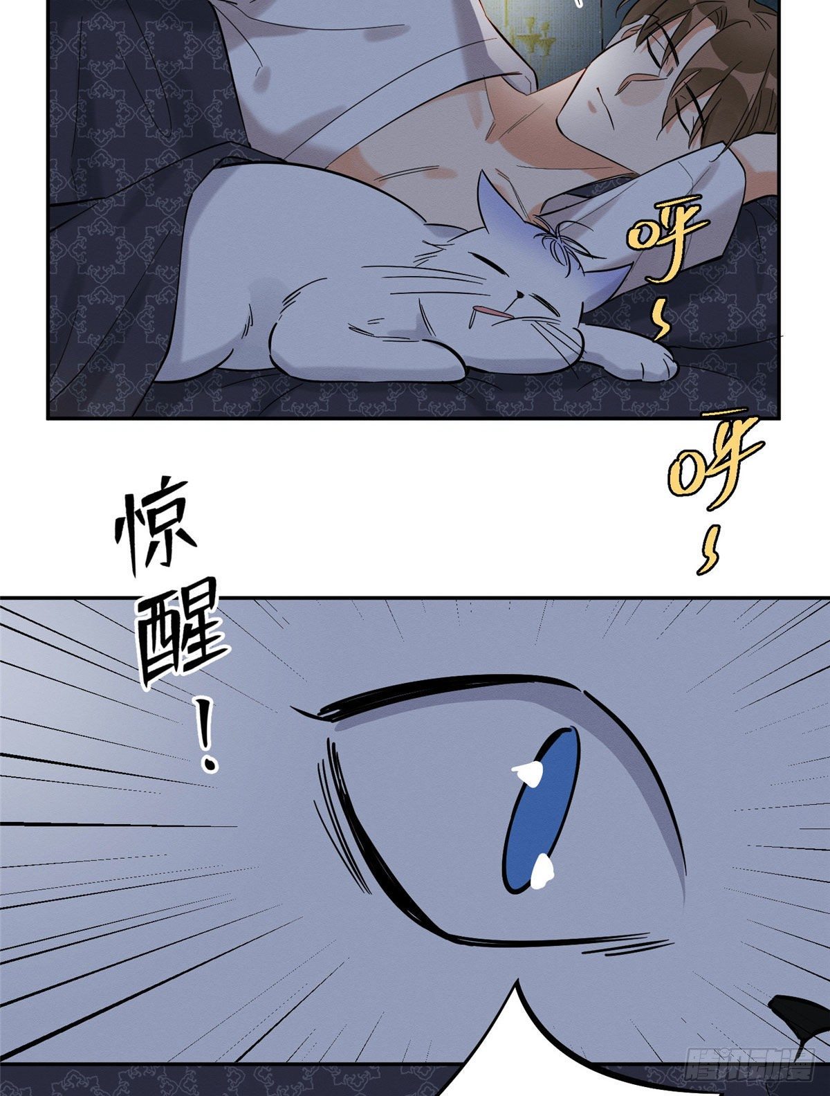 25 Tengo que trabajar duro para ser un gato hoy!