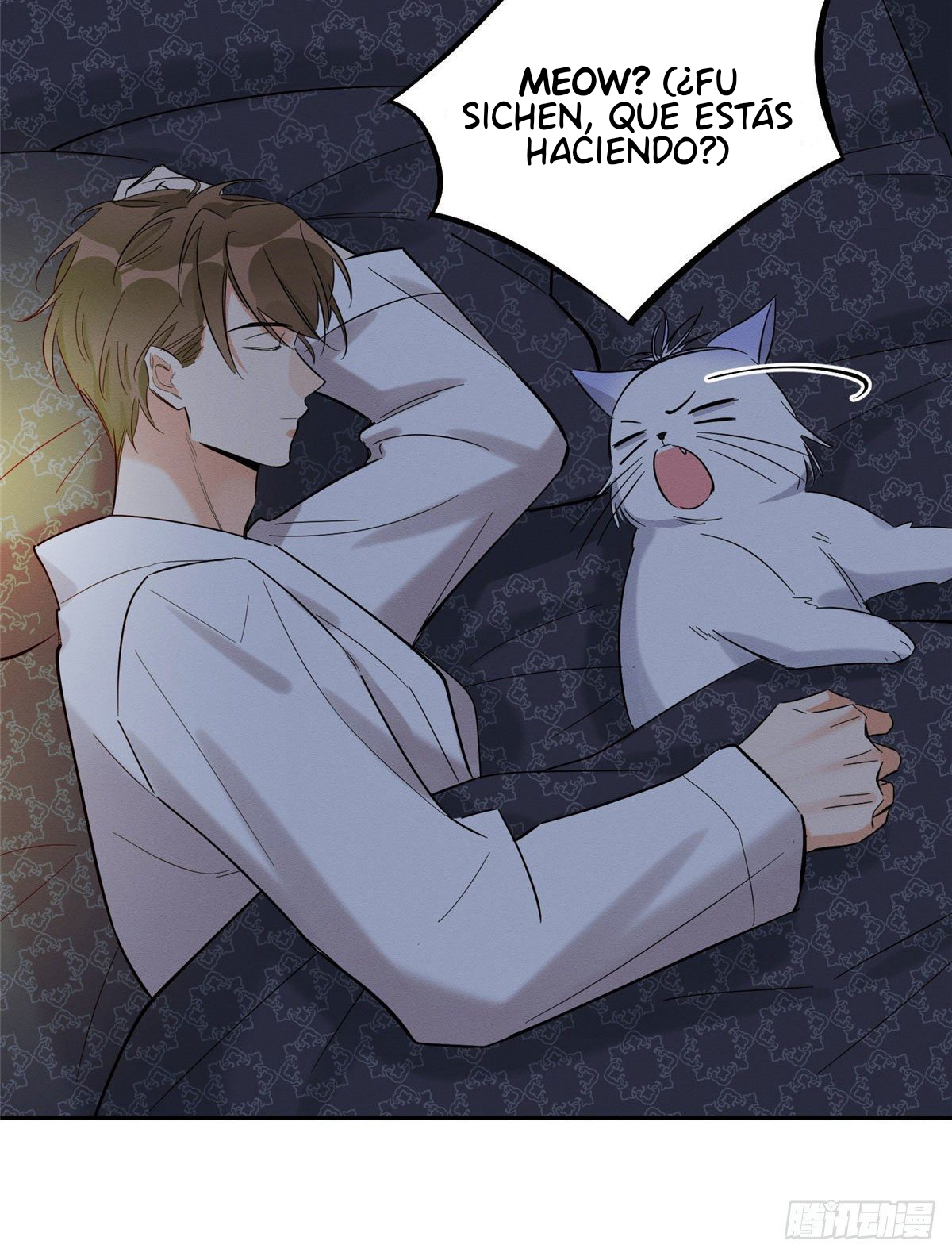 26 Tengo que trabajar duro para ser un gato hoy!