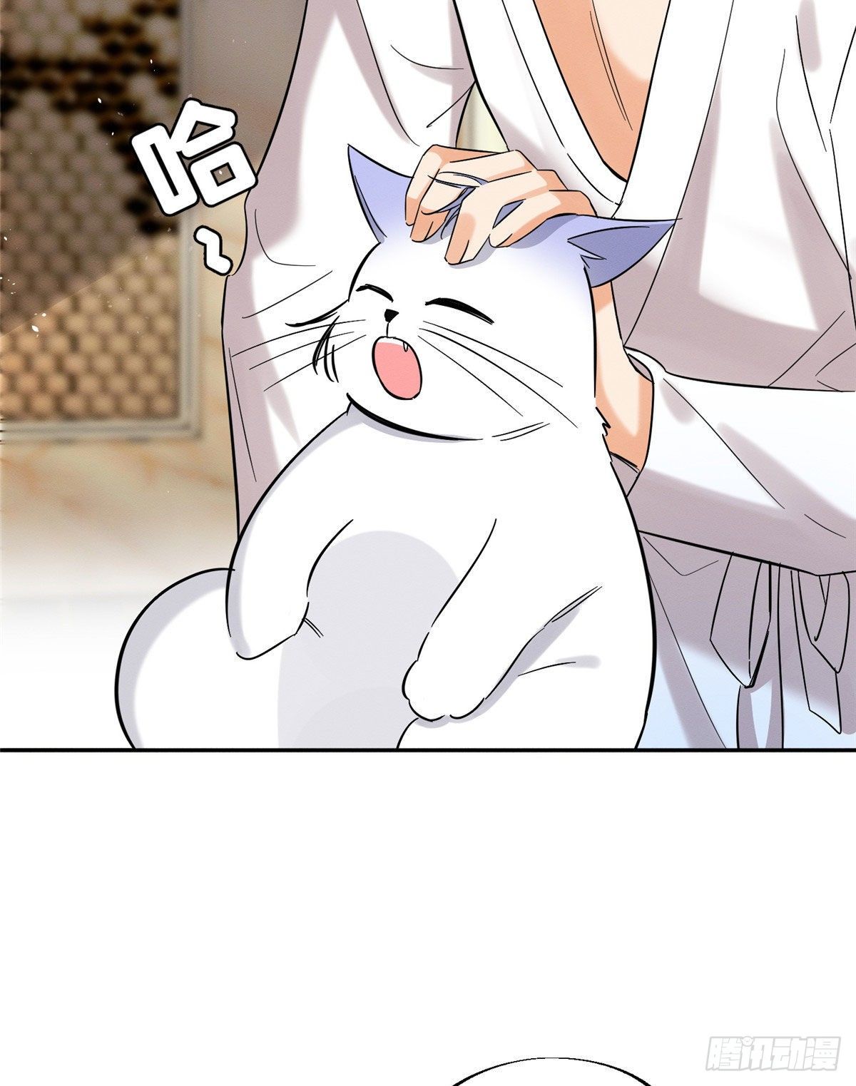 20 Tengo que trabajar duro para ser un gato hoy!