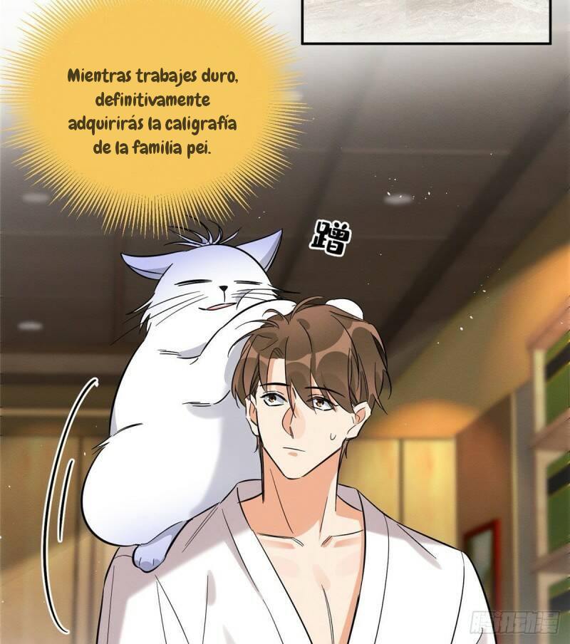 14 Tengo que trabajar duro para ser un gato hoy!