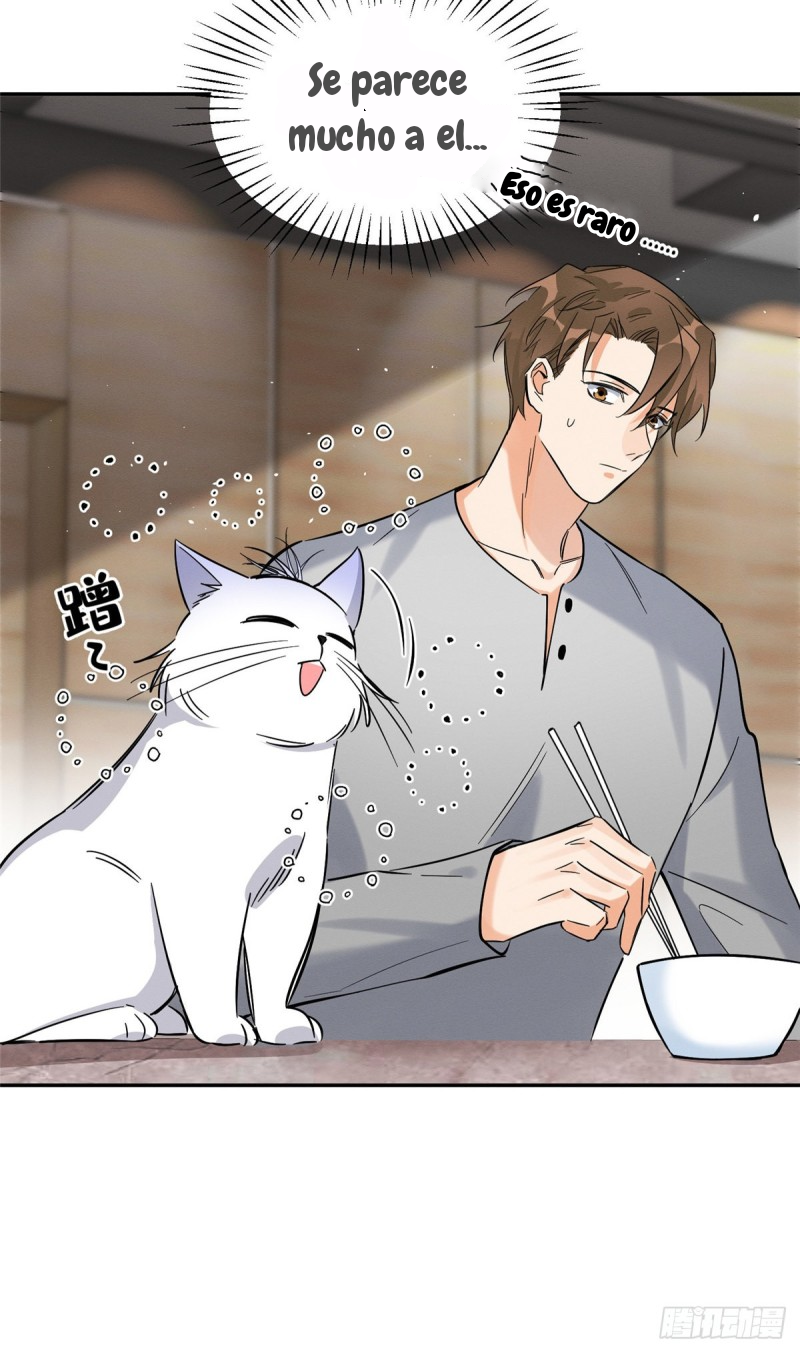 5 Tengo que trabajar duro para ser un gato hoy!