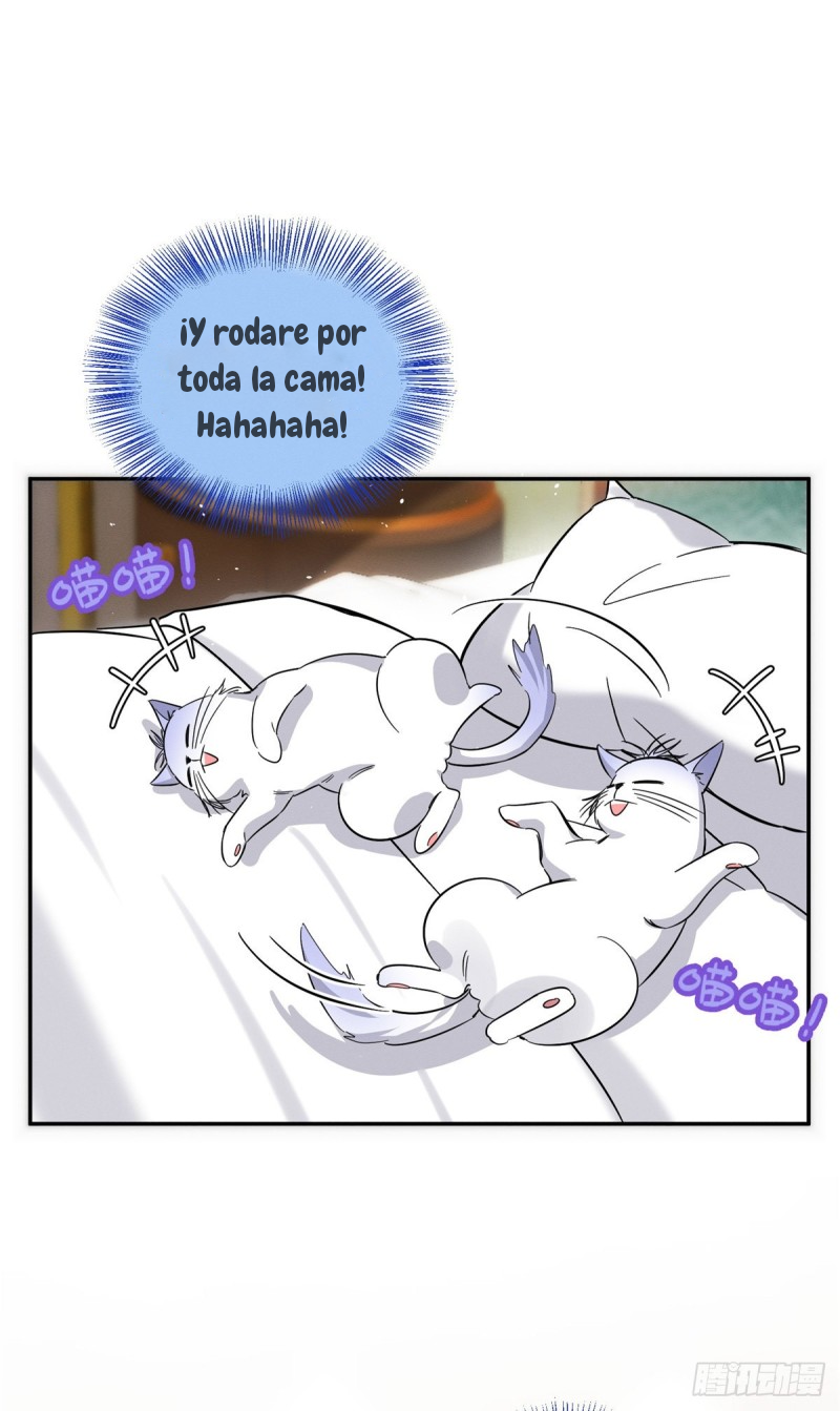 11 Tengo que trabajar duro para ser un gato hoy!