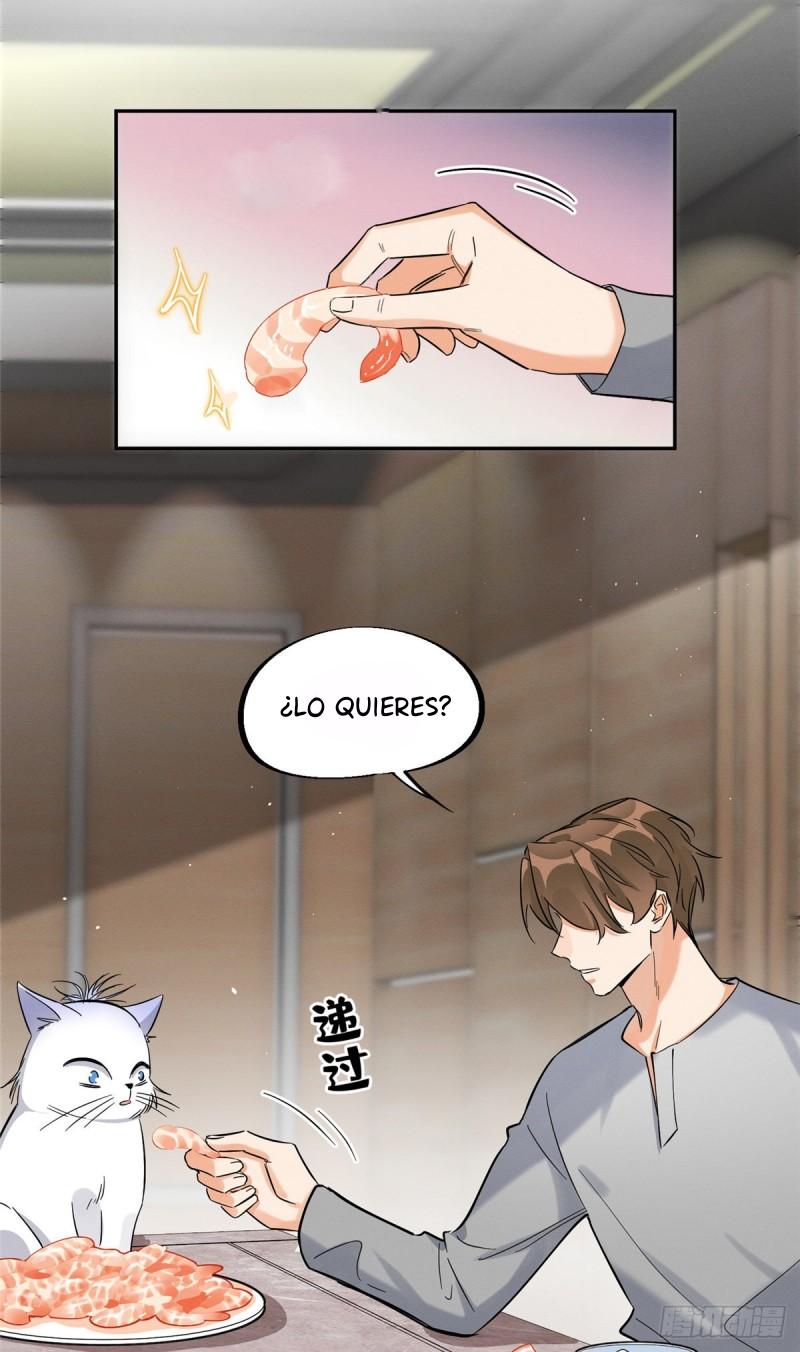 3 Tengo que trabajar duro para ser un gato hoy!