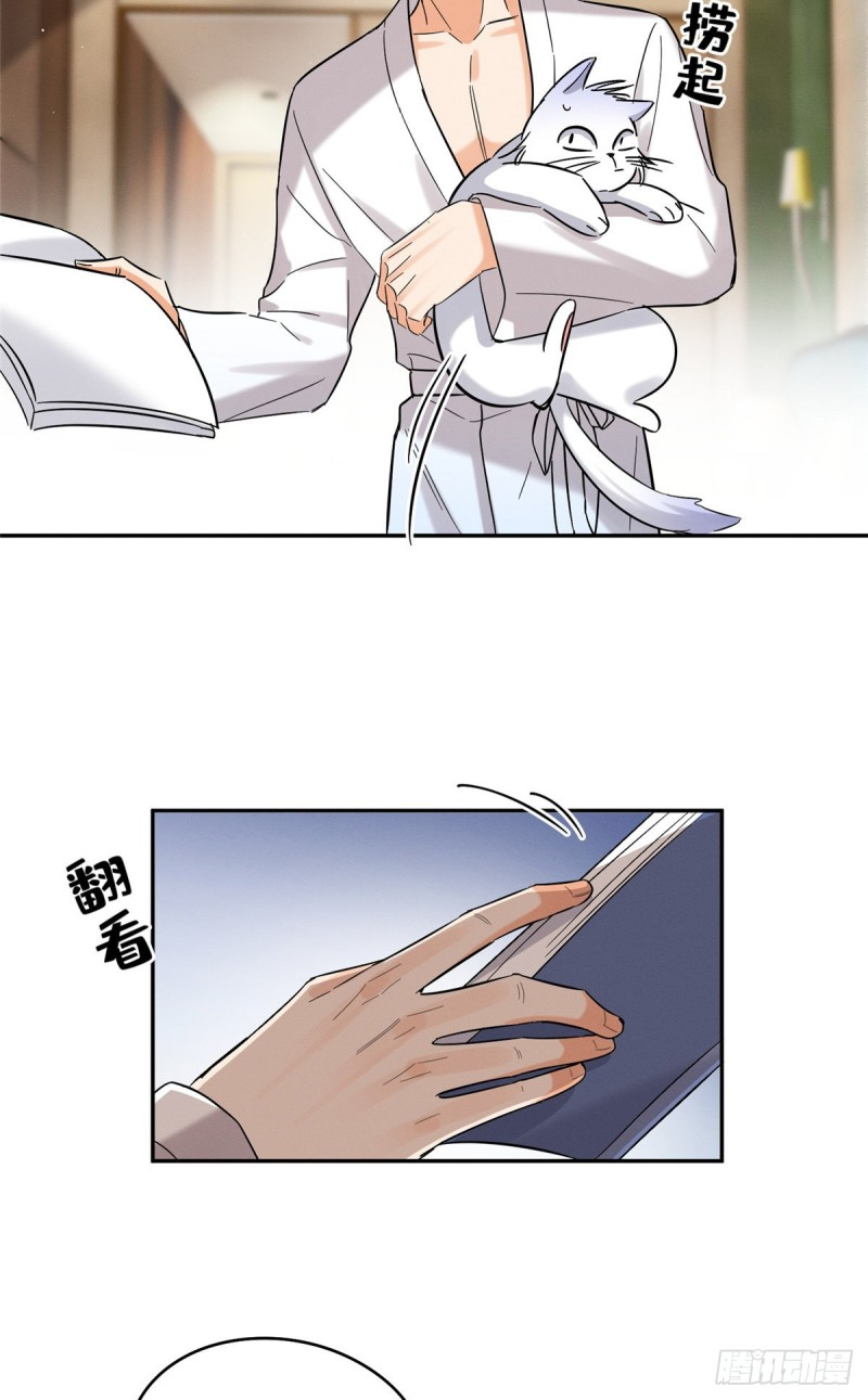 34 Tengo que trabajar duro para ser un gato hoy!